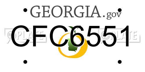 CFC6551 Georgia License Plate