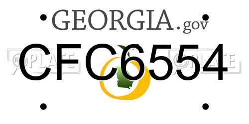 CFC6554 Georgia License Plate