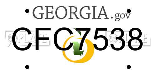 CFC7538 Georgia License Plate