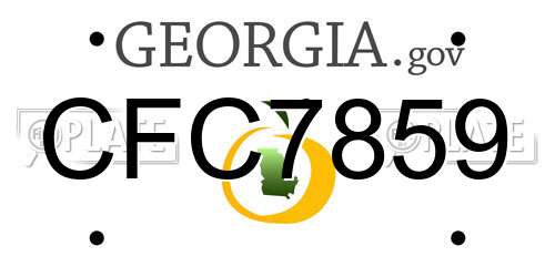 CFC7859 Georgia License Plate