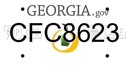 CFC8623 Georgia License Plate