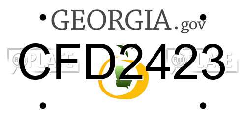 CFD2423 Georgia License Plate