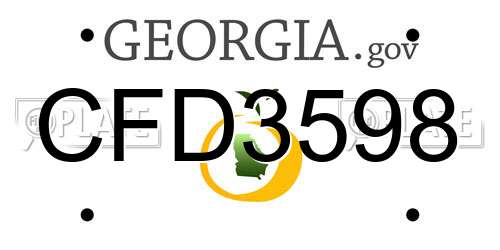 CFD3598 Georgia License Plate