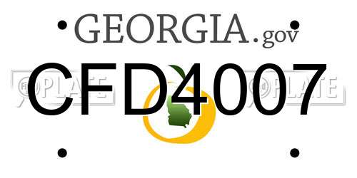 CFD4007 Georgia License Plate