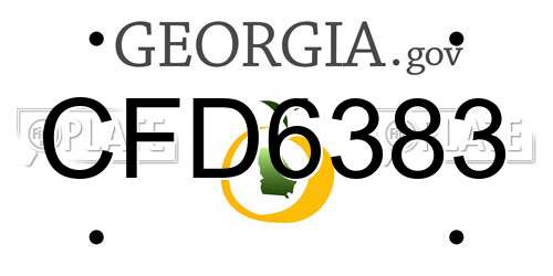 CFD6383 Georgia License Plate