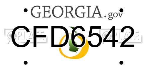 CFD6542 Georgia License Plate