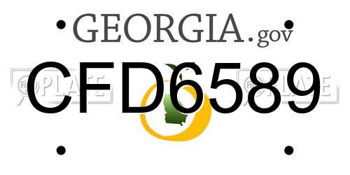 CFD6589 Georgia License Plate