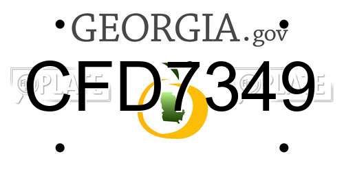 CFD7349 Georgia License Plate