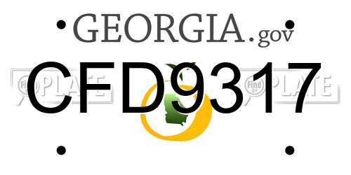 CFD9317 Georgia License Plate