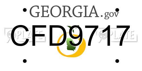 CFD9717 Georgia License Plate