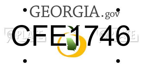 CFE1746 Georgia License Plate