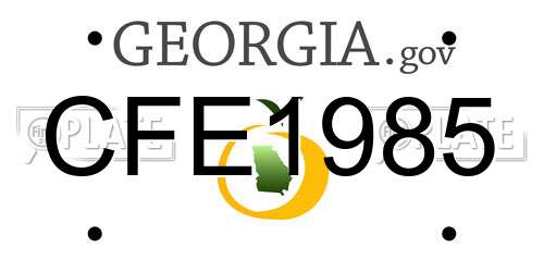 CFE1985 Georgia License Plate