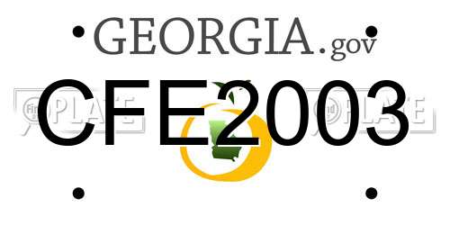 CFE2003 Georgia License Plate