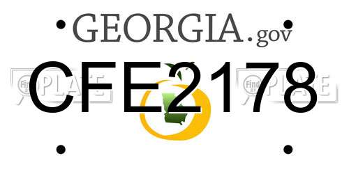 CFE2178 Georgia License Plate