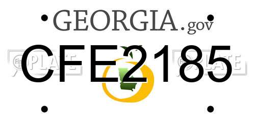 CFE2185 Georgia License Plate