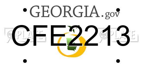 CFE2213 Georgia License Plate