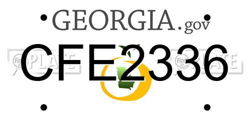 CFE2336 Georgia License Plate