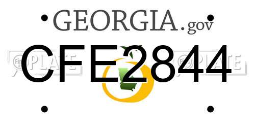 CFE2844 Georgia License Plate