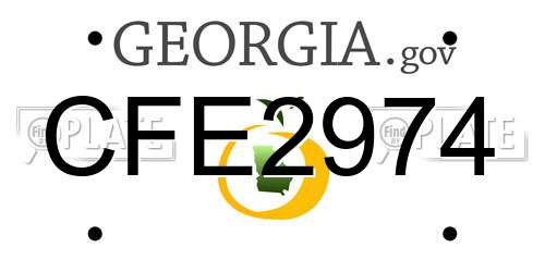 CFE2974 Georgia License Plate