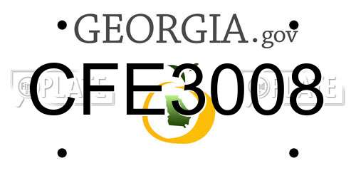 CFE3008 Georgia License Plate