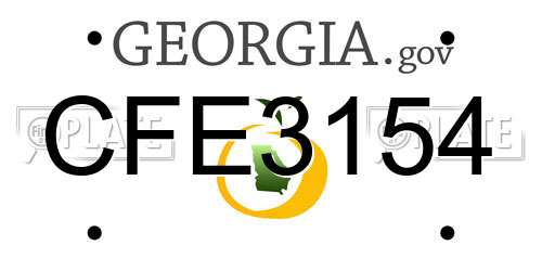 CFE3154 Georgia License Plate