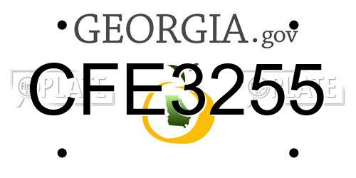 CFE3255 Georgia License Plate
