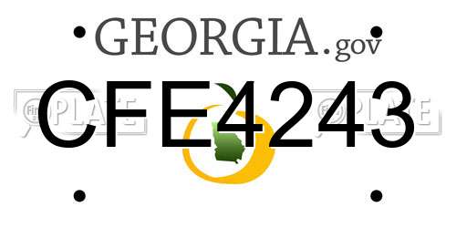 CFE4243 Georgia License Plate