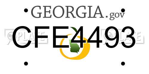CFE4493 Georgia License Plate
