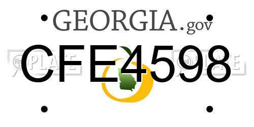 CFE4598 Georgia License Plate