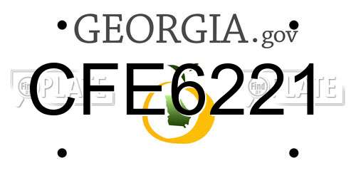 CFE6221 Georgia License Plate
