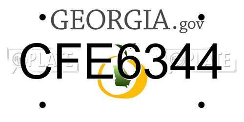 CFE6344 Georgia License Plate