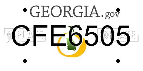 CFE6505 Georgia License Plate