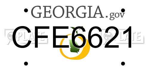 CFE6621 Georgia License Plate