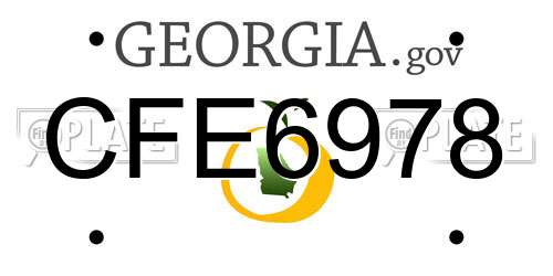 CFE6978 Georgia License Plate