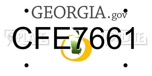 CFE7661 Georgia License Plate