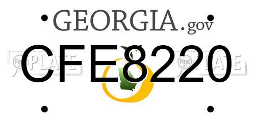 CFE8220 Georgia License Plate
