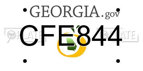 CFE844 Georgia License Plate