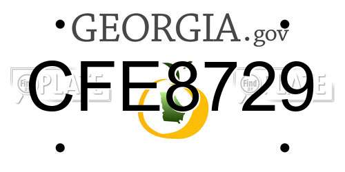 CFE8729 Georgia License Plate