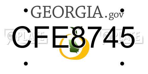 CFE8745 Georgia License Plate