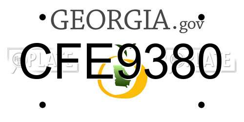 CFE9380 Georgia License Plate