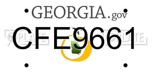 CFE9661 Georgia License Plate