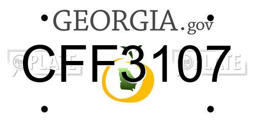 CFF3107 Georgia License Plate