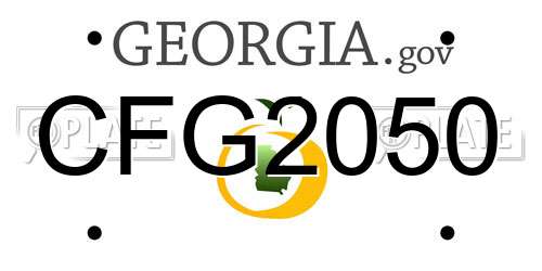 CFG2050 Georgia License Plate