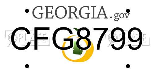 CFG8799 Georgia License Plate