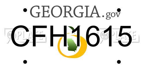 CFH1615 Georgia License Plate
