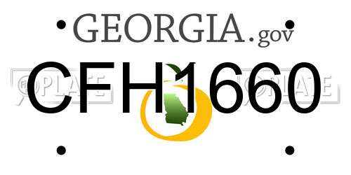 CFH1660 Georgia License Plate