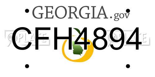 CFH4894 Georgia License Plate