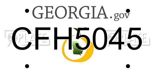 CFH5045 Georgia License Plate