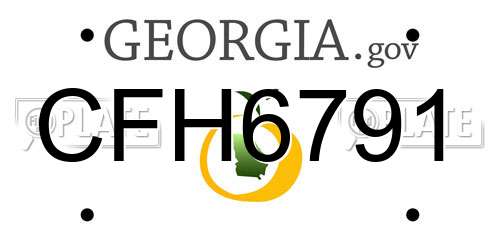 CFH6791 Georgia License Plate