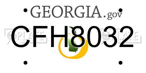 CFH8032 Georgia License Plate